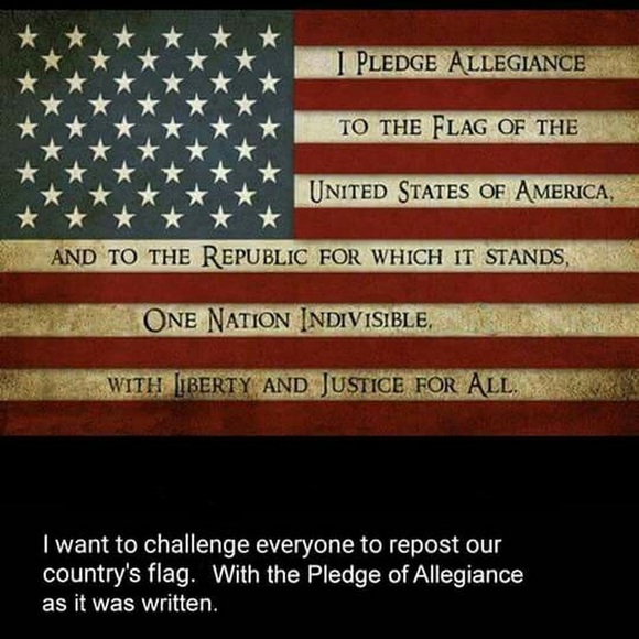 Meet your Posher, Amy - Picture 1 of 1